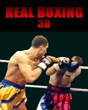 Real Boxing 3D.jar